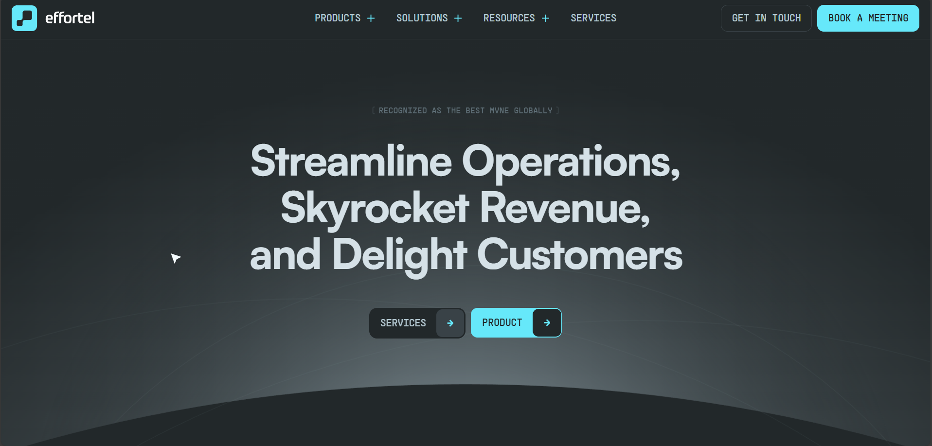 Effortel: Next-Gen Telecom Solutions | MVNO & BSS/OSS Platform