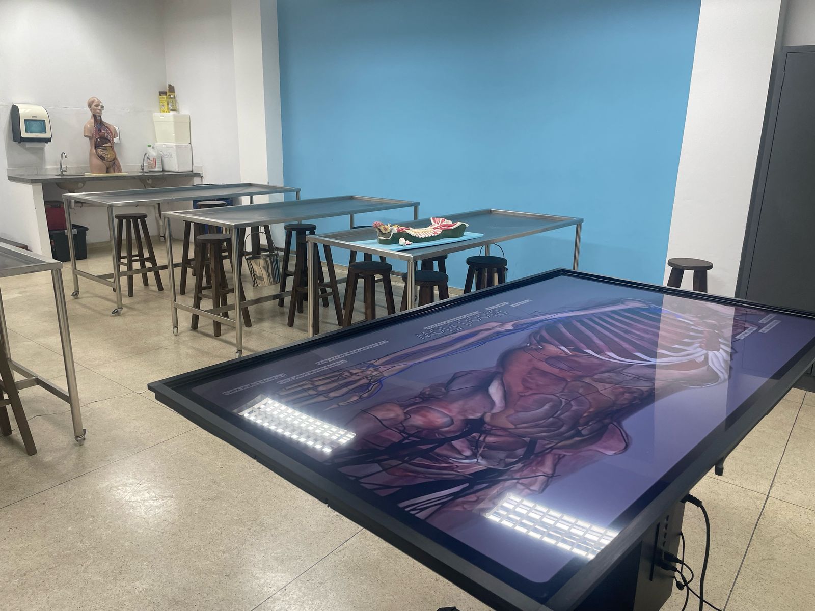 Laboratório de Anatomia